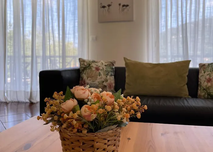 Pichoses - 게스트하우스